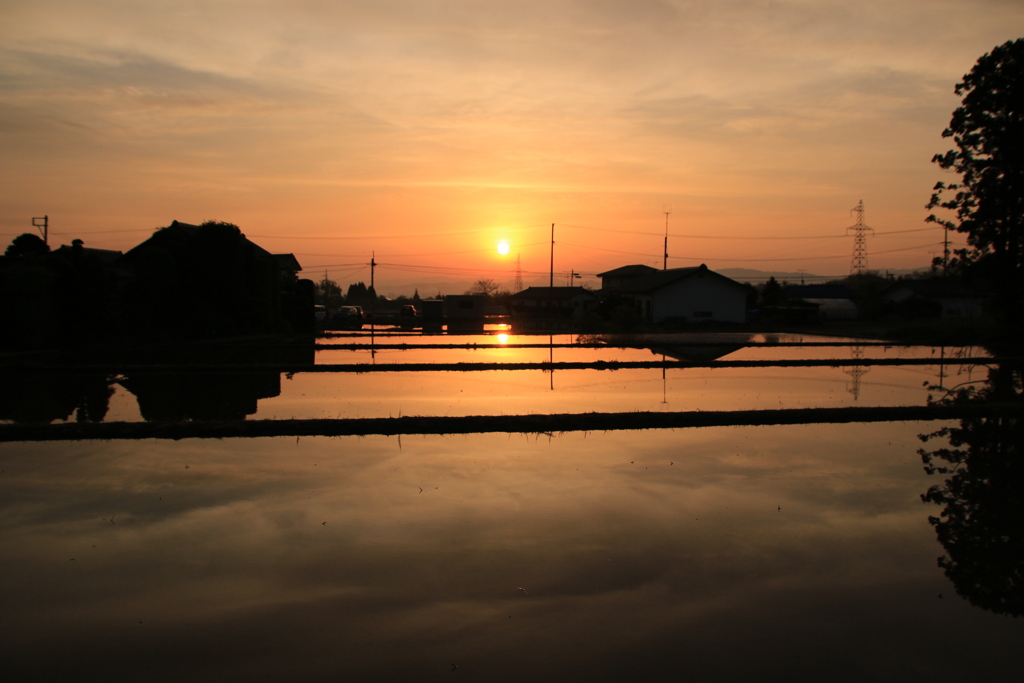 水田　朝焼け