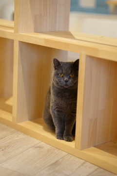そんなとこで何してるの