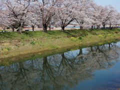 福岡堰