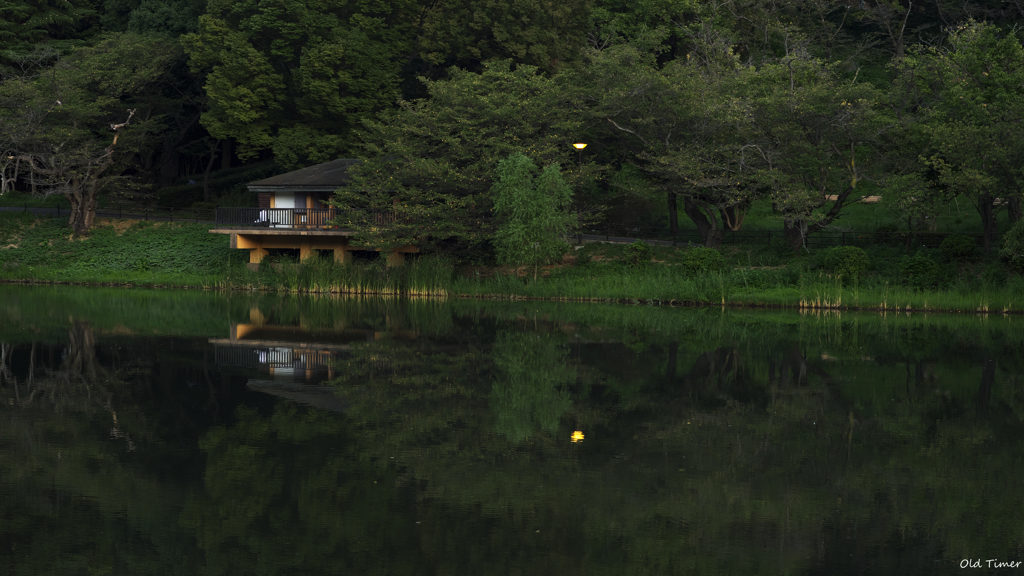 彼岸まで20日