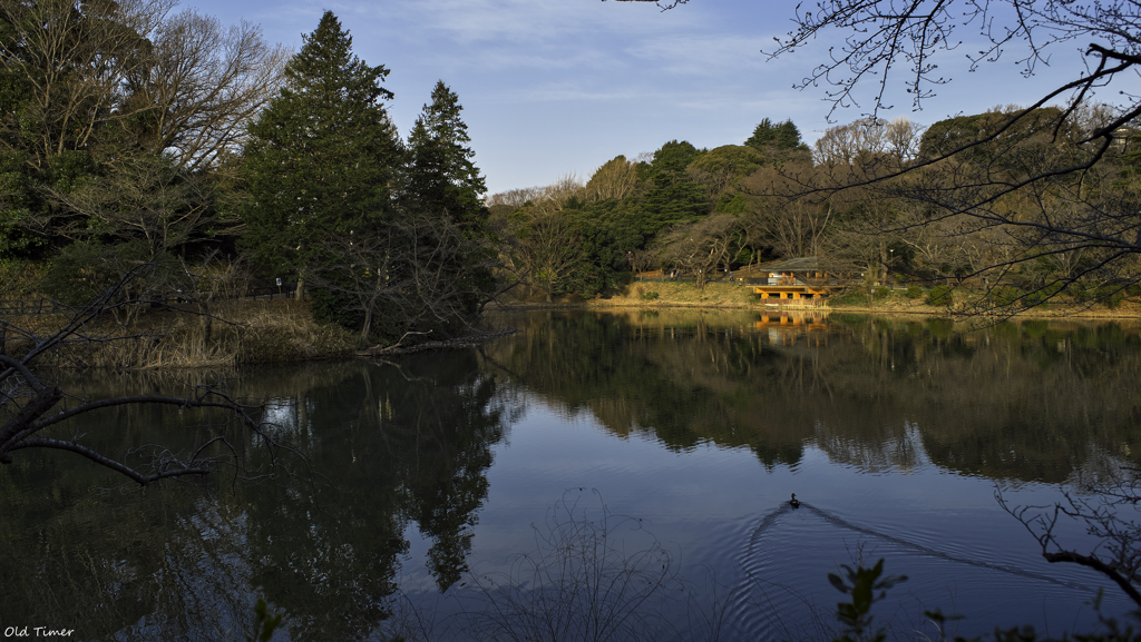 穏やかという幸せを感じて