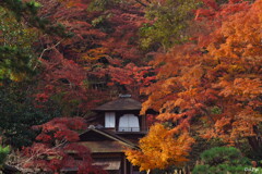 晩秋の聴秋閣