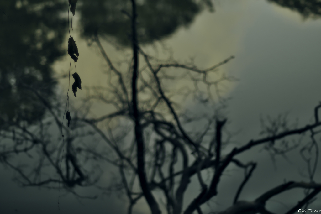 しがらみの中の葛藤