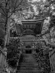 木々に囲まれる多宝塔