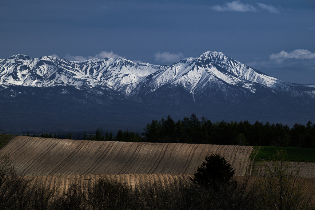 山と畑の春