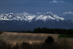 山と畑の春
