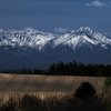 山と畑の春
