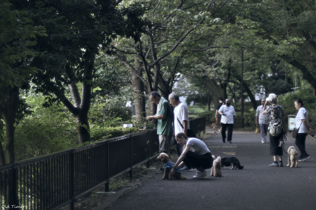 芸術家には人が集まる