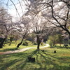 朝陽の当たる坂道に春