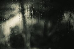 雨、雨、雨