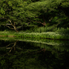 初夏のコントラスト