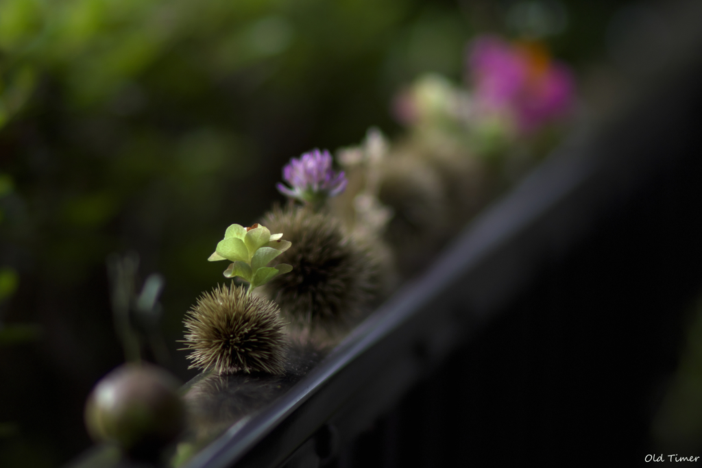 季節を彩る公園の芸術作品