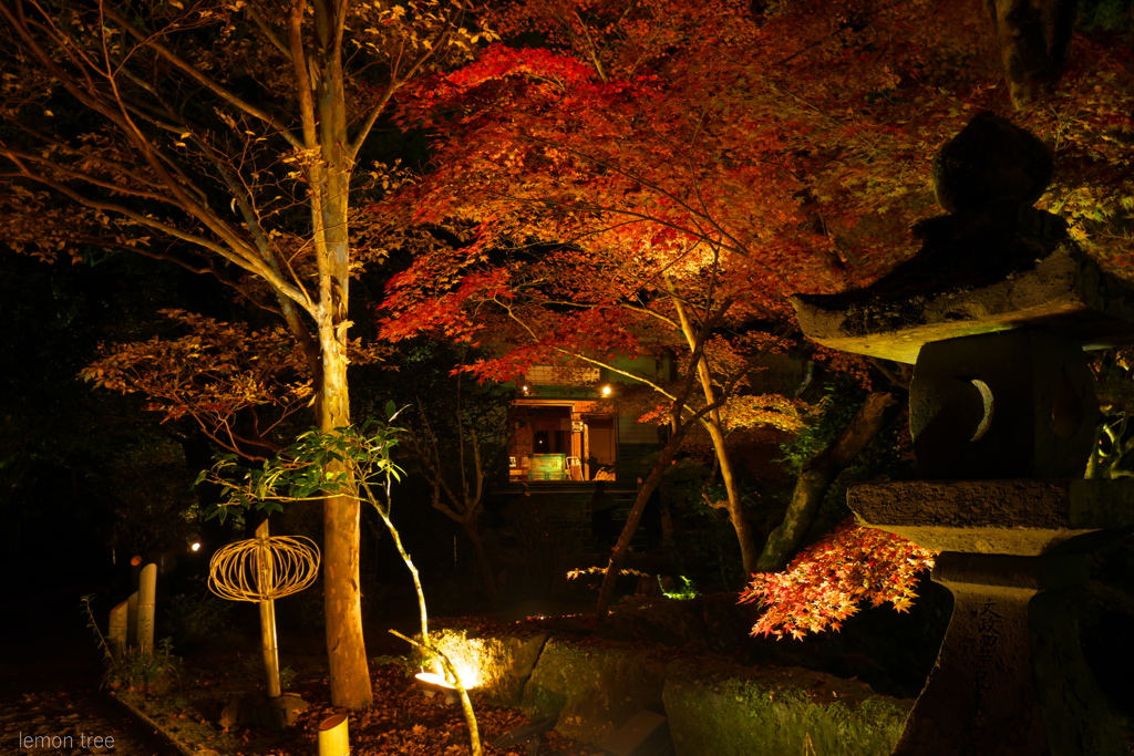 秋の夜