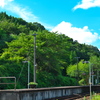 真夏のホーム