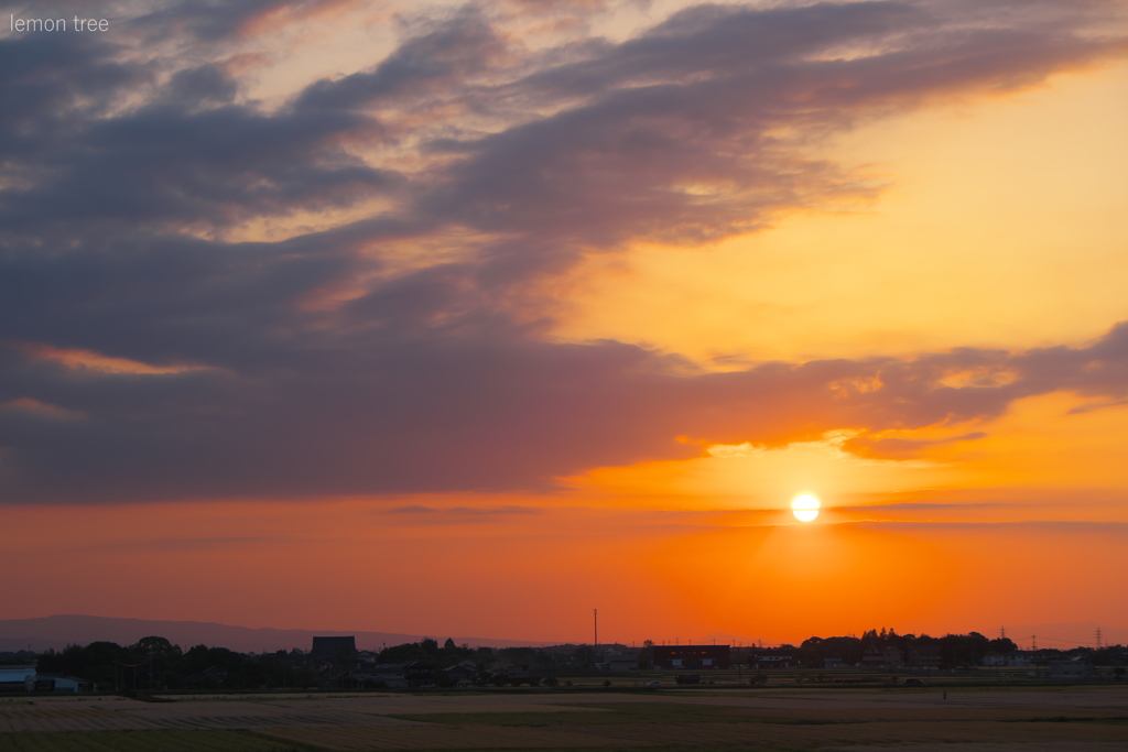 夕暮れの町