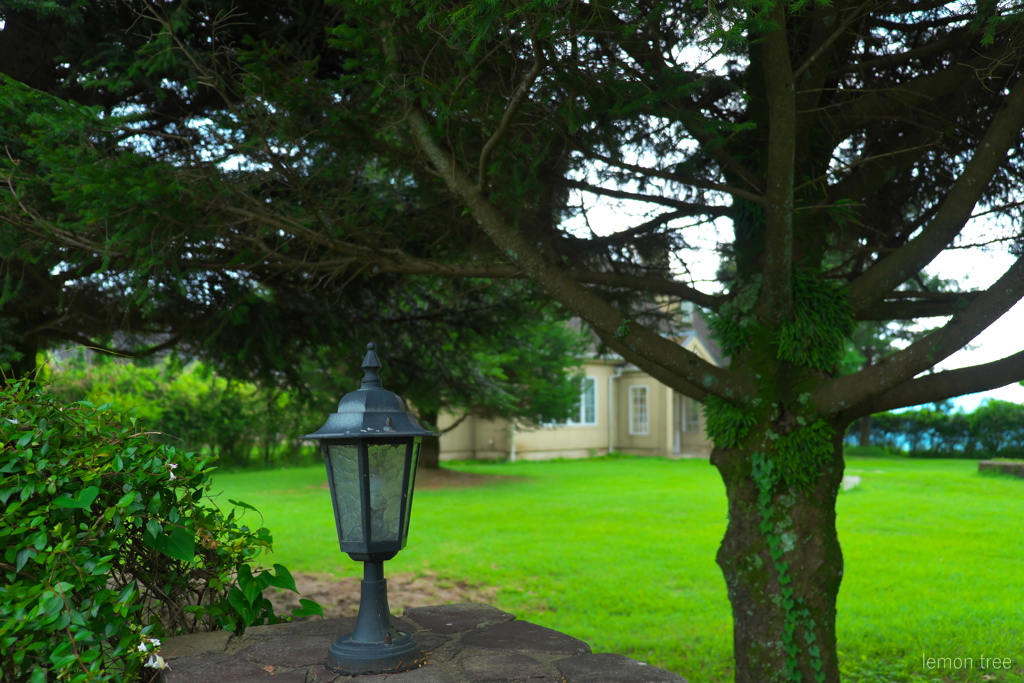 entrance