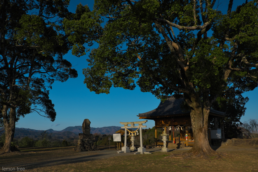 神社