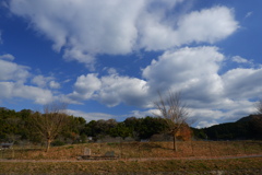 行く秋の空