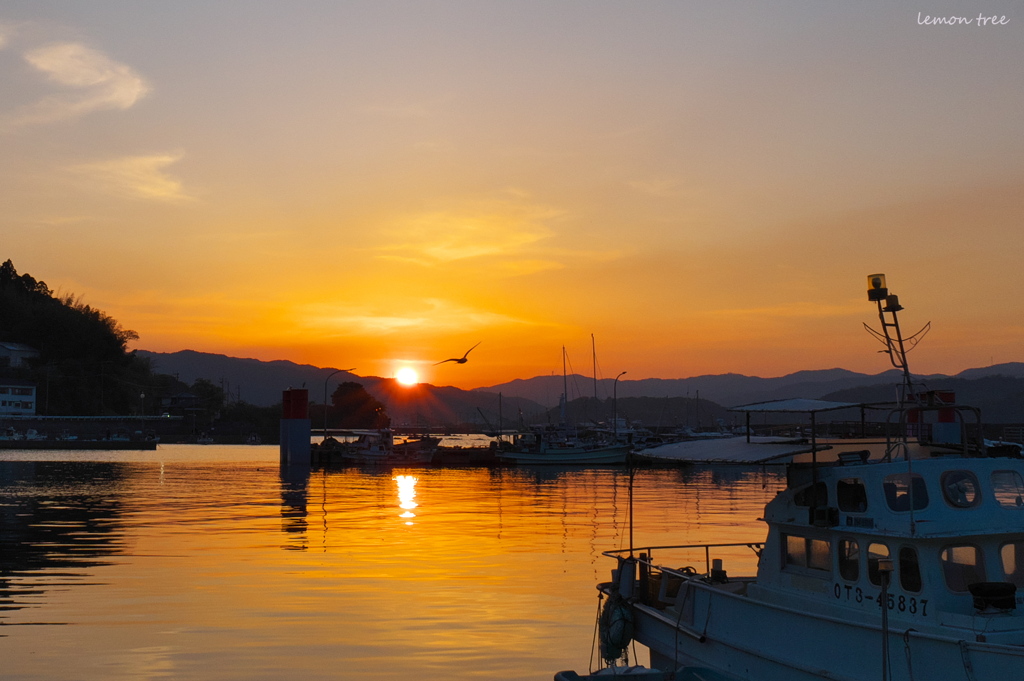 夕陽に