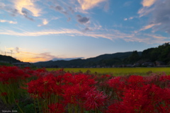紅い夕暮れ
