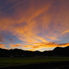 夕暮れの田んぼ