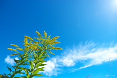 空へ