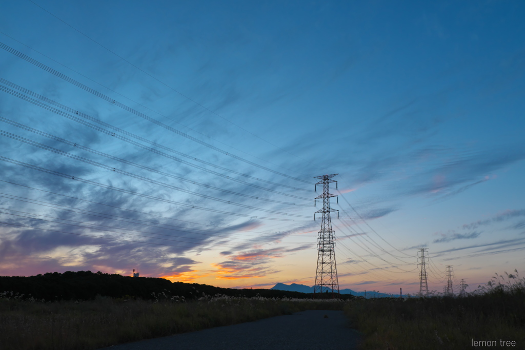 電線