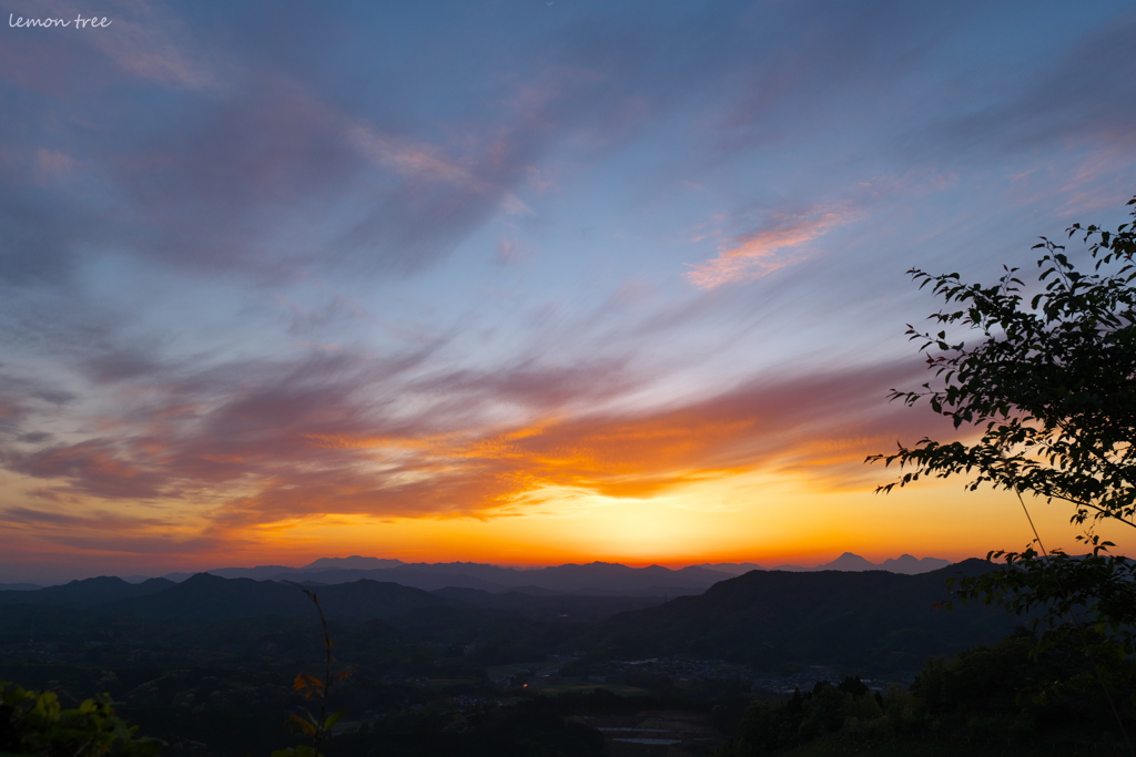 遠くの由布岳