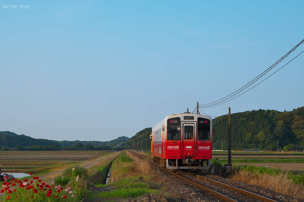 遠くへ行きたい