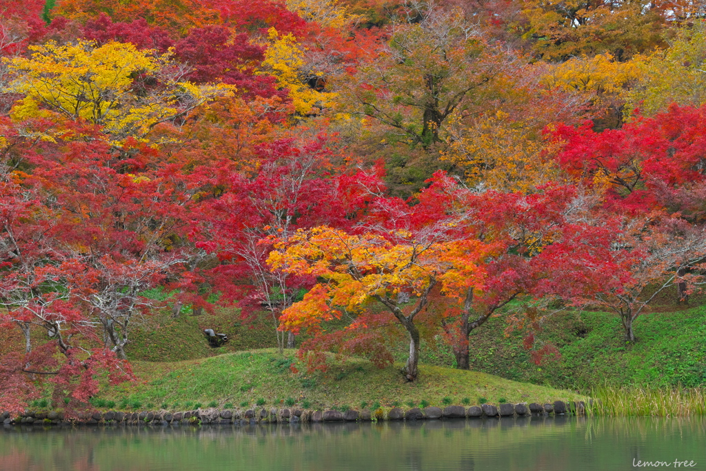 花のように