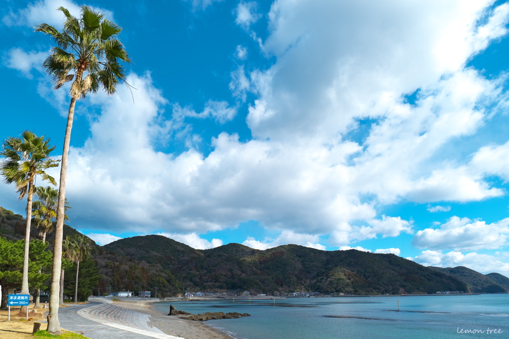真冬の海岸