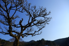 里の冬空
