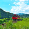 普通列車