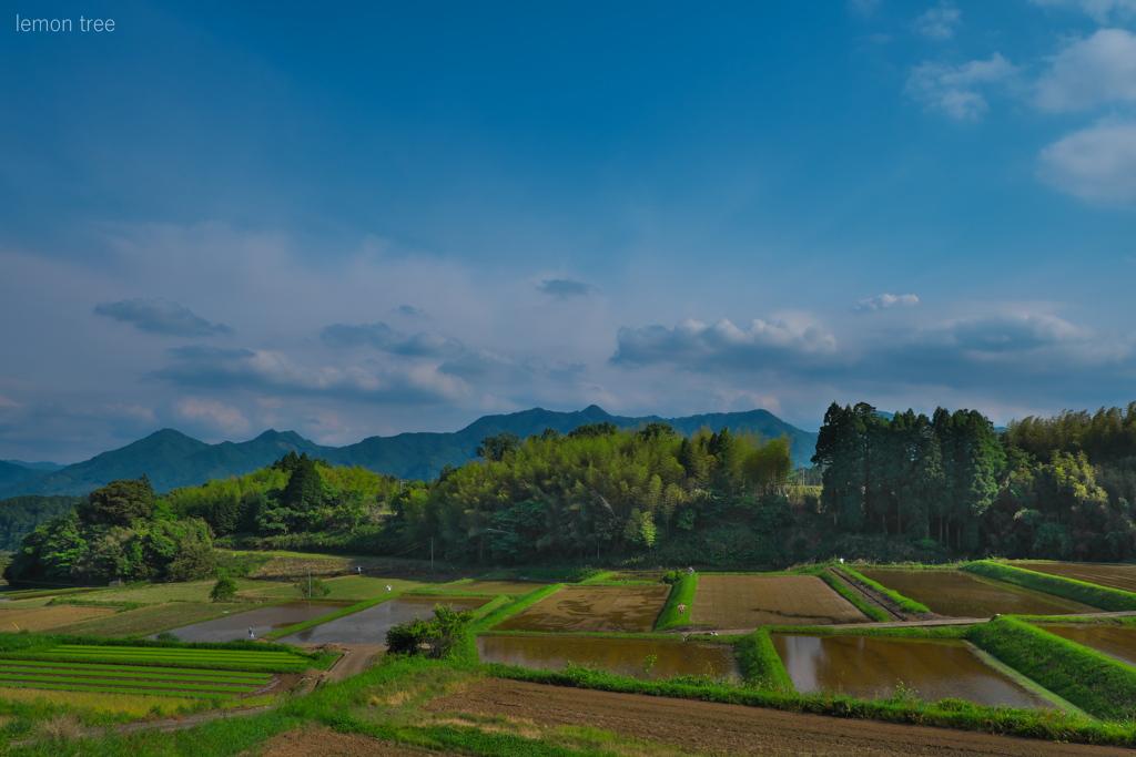 田植え前