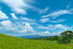 夏の思い出