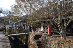 ひなたぼっこ