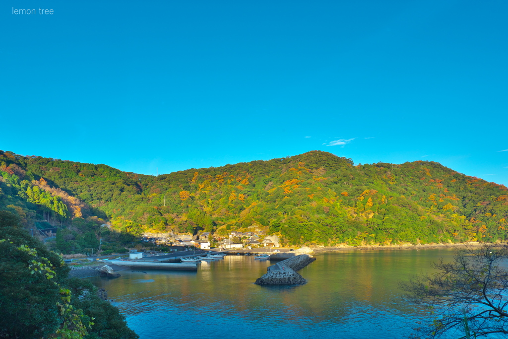 晩秋（朝の海岸線で　２）