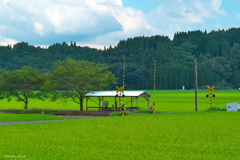 踏切