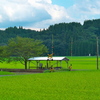 踏切