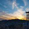 桜咲く夕暮れ