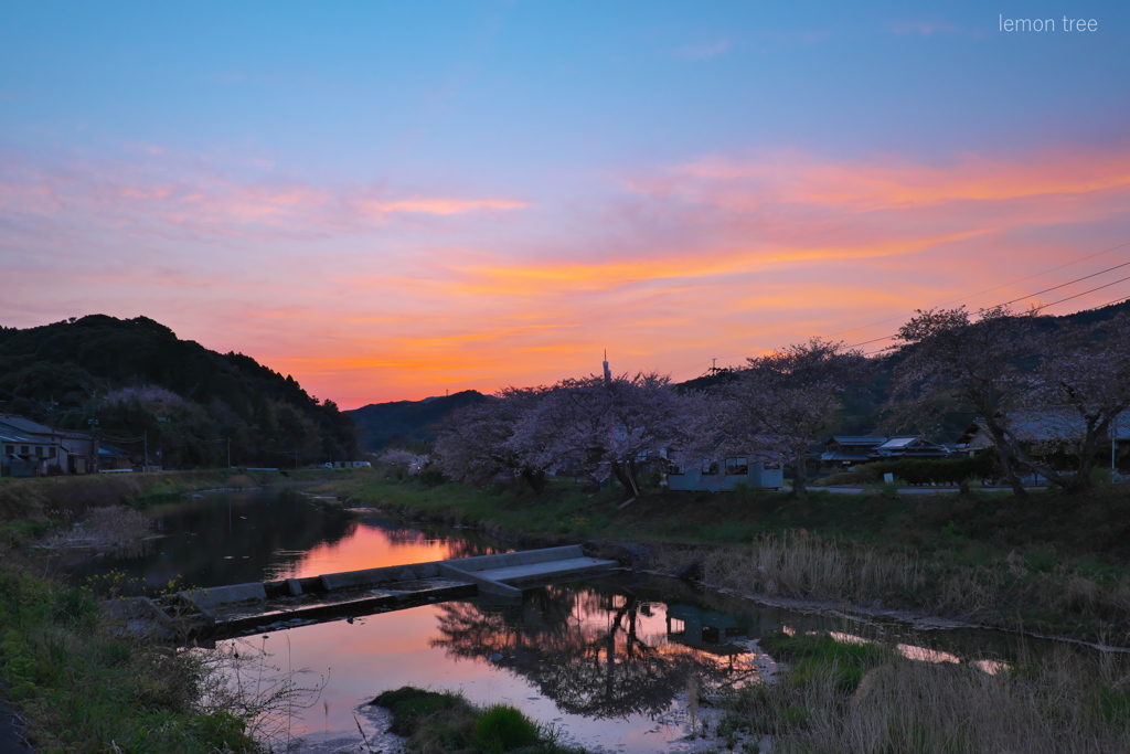 春の夕暮れ