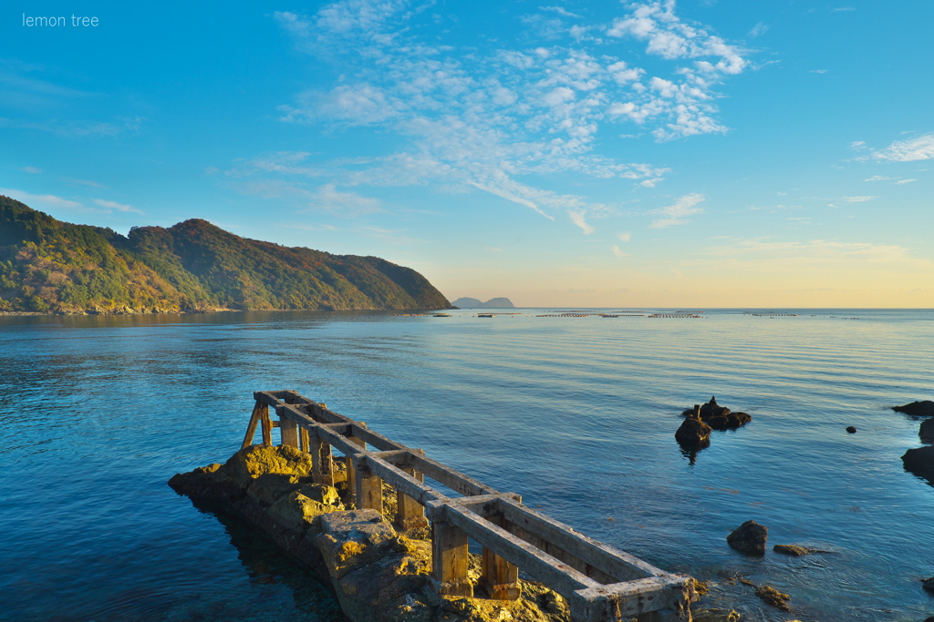 朝の海岸線で