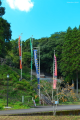 柿の木