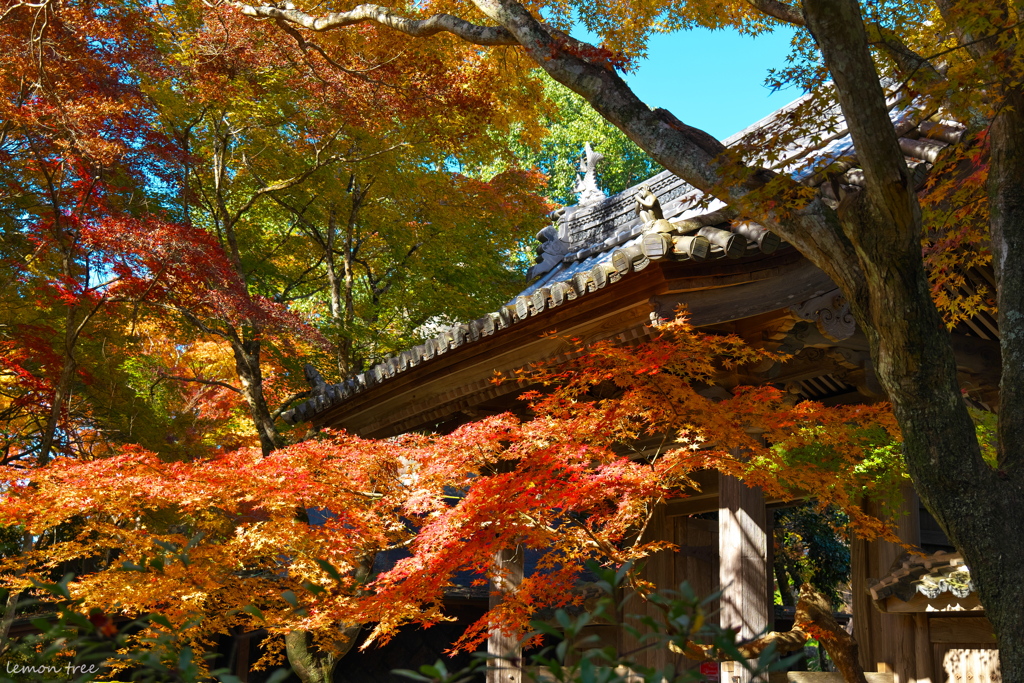 見ざる言わざる