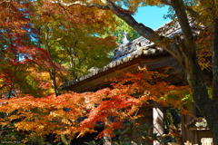 見ざる言わざる