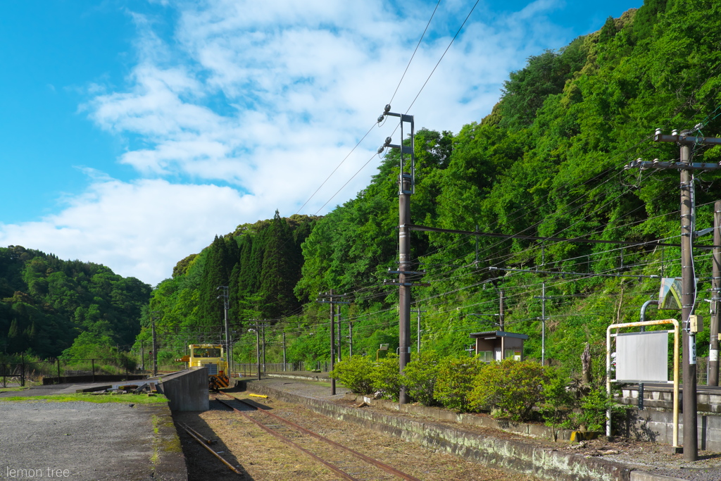 緑の駅