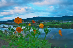 ほとりの晩夏