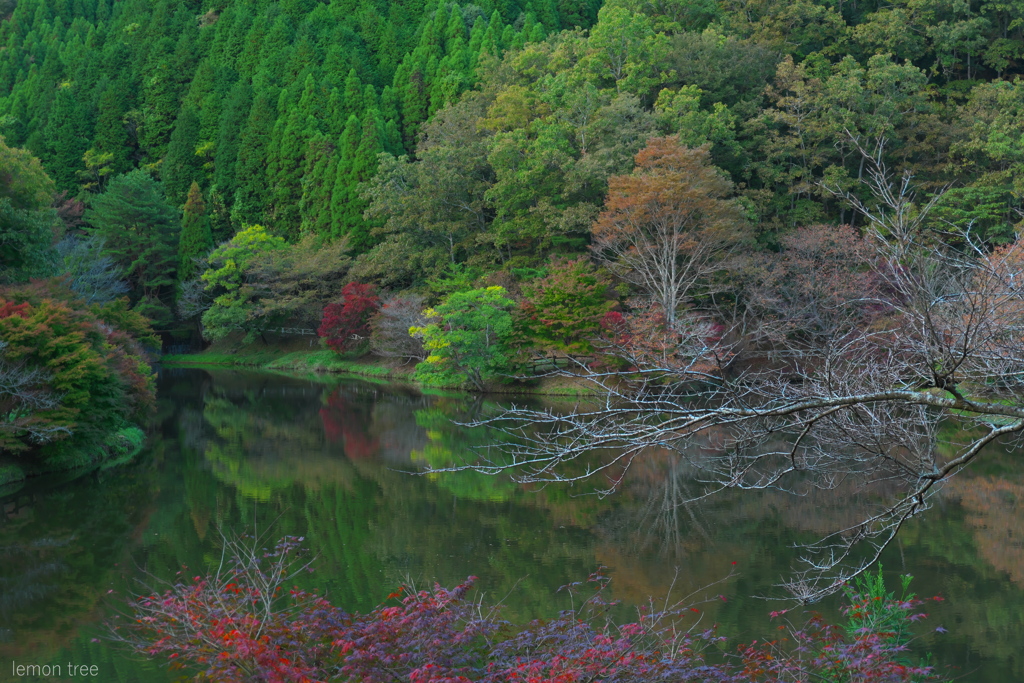 静寂