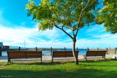 港の夏風景