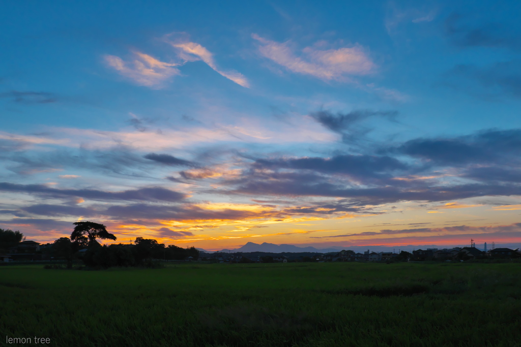 遠くで夕焼け
